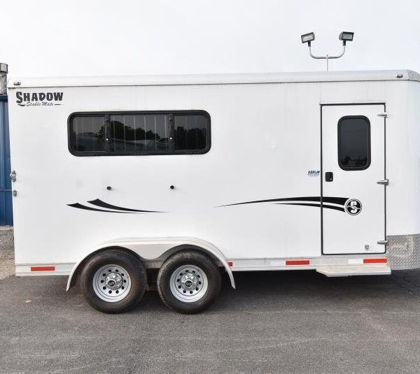 Two horse bumper-pull trailer standing in a paddock